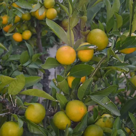 Σπίτι διακοπών Prana Τρογκίρ