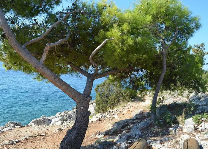 Hébergement de vacances Prana *