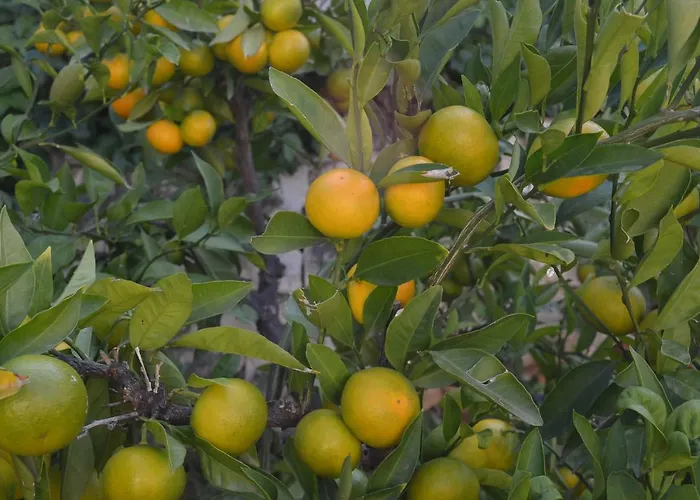 Дом отдыха Prana Трогир