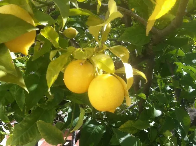 Будинок відпочинку Prana *